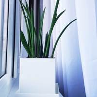 Square Flower Pot for Succulents - Thumbnail 2