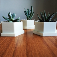 Flower Pot for Succulents - Thumbnail 2