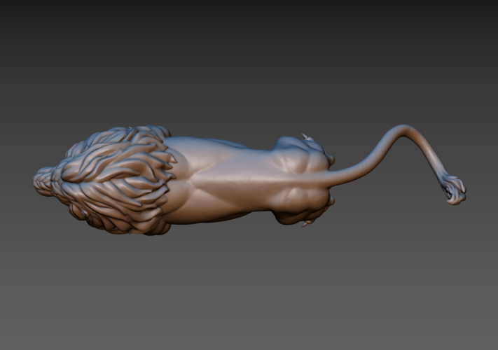 Lion 3D Print 187154