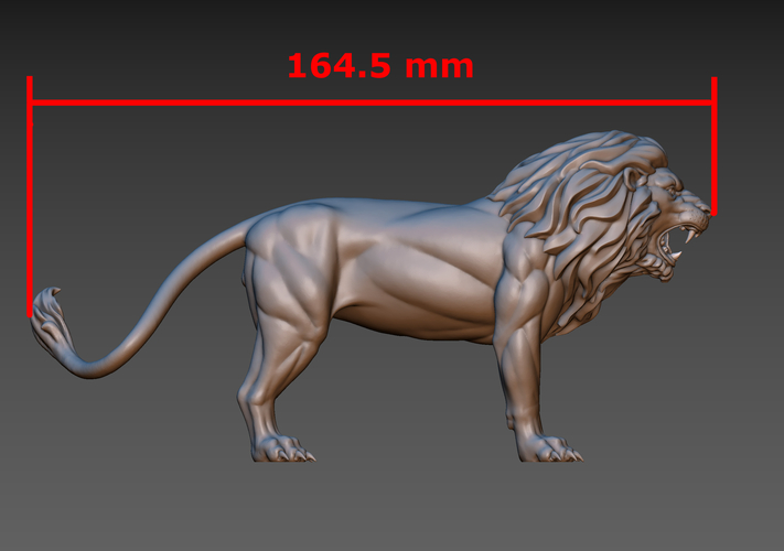 Lion 3D Print 187158