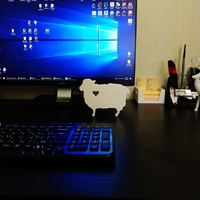 Lovely curly sheep - Thumbnail 2