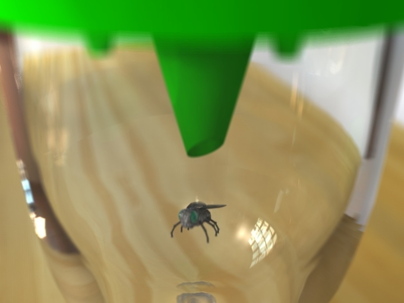 Fly away