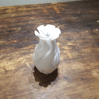 Test Vase - Thumbnail 4