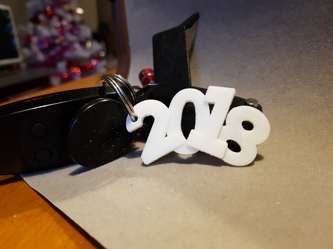 key ring 2018 3D Print 189295