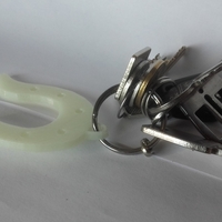 Small  Horseshoe Keychain 3D Printing 189452