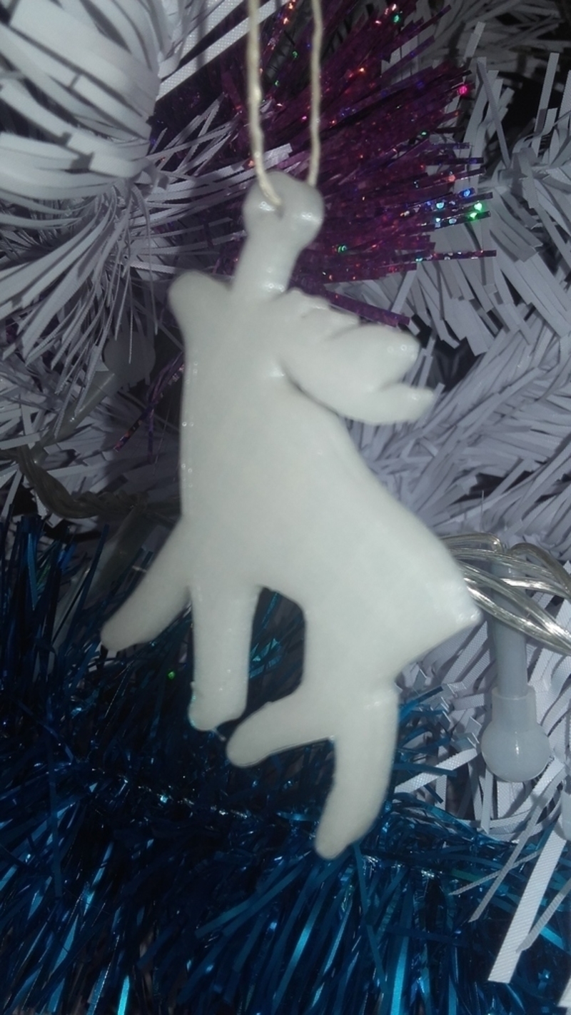 Reindeer of the santa claus