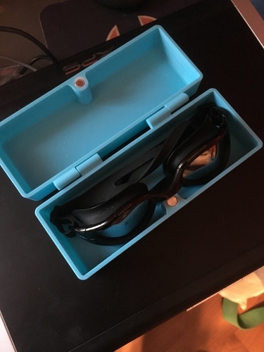 Goggles Case 3D Print 190041
