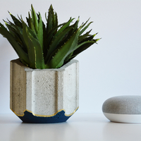 Planter - 3D Printable Mold or Planter - Thumbnail 1