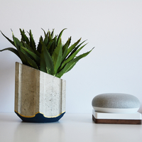 Planter - 3D Printable Mold or Planter - Thumbnail 2
