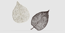 Image 190629