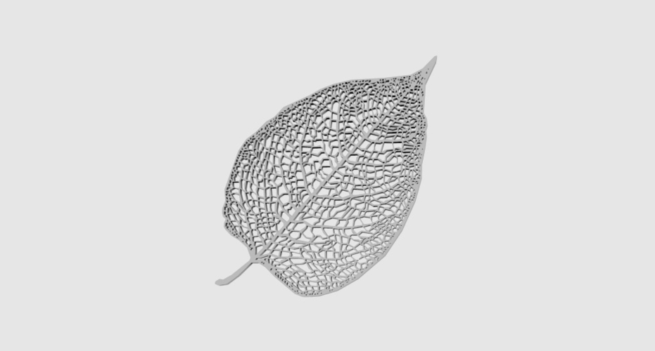 Leaf Veins System 3D Print 190630