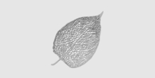 Image 190630
