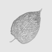 Leaf Veins System - Thumbnail 2