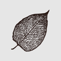 Leaf Veins System - Thumbnail 3
