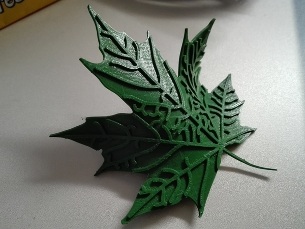 Maple Leaf 