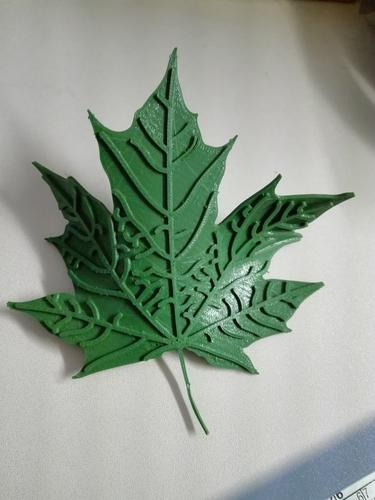 Maple Leaf  3D Print 190633