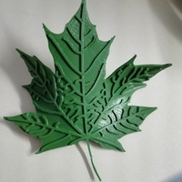 Maple Leaf  - Thumbnail 2