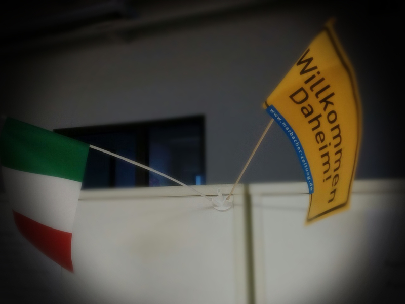 Flag holder small