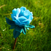 Maz's Flower - Thumbnail 8