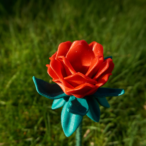 Maz's Flower 3D Print 190850