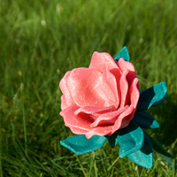 Maz's Flower - Thumbnail 11