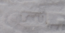 Image 191930