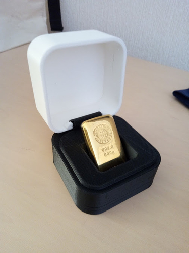 CASE FOR GOLD 3D Print 192552