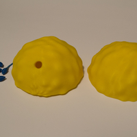 Ovum and Sperm  - Thumbnail 2