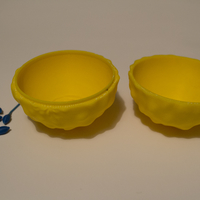 Ovum and Sperm  - Thumbnail 3