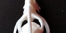 Image 193030