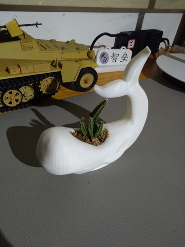 a whale shaped flowerpot 3D Print 193049