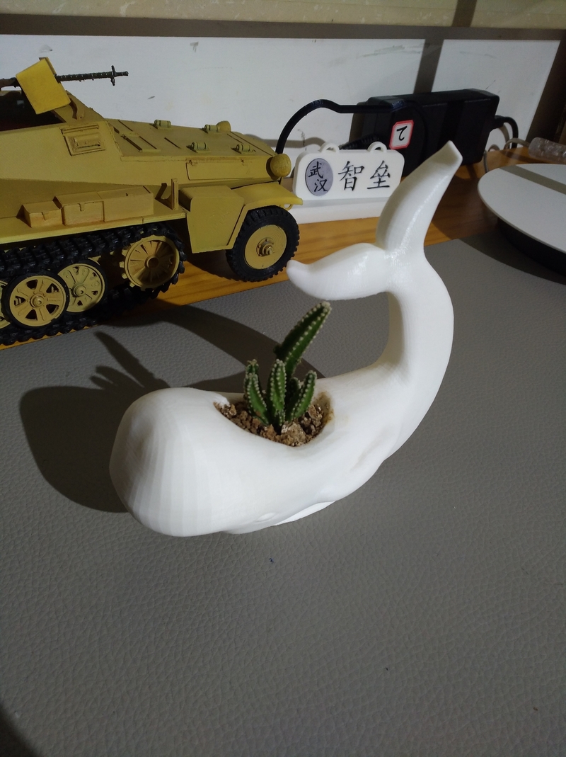 a whale shaped flowerpot