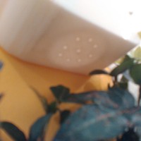 Wall Flower Mount - Thumbnail 4