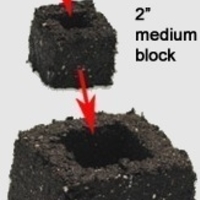 Soil Block Tongs - Thumbnail 2