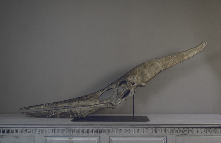 Full Size Pteranodon Fossil Skull  Part01/06 3D Print 193514