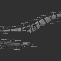 Full Size Pteranodon Fossil Skull Part02/06 - Thumbnail 3