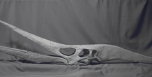 Image 193523