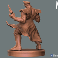 M. Bison Street Figter V  - Thumbnail 5