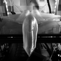 YF-23 Stealth Fighter - Updated 4th Dec 2019 - Thumbnail 1