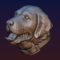 Labrador Head - Thumbnail 2