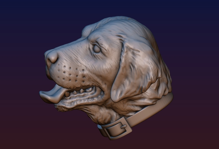 Labrador Head 3D Print 194535