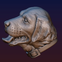 Labrador Head - Thumbnail 3