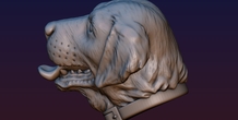 Image 194536