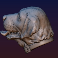 Labrador Head - Thumbnail 4