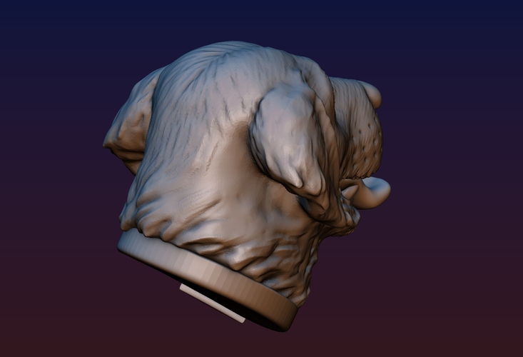 Labrador Head 3D Print 194538
