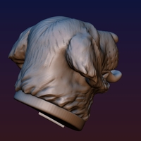Labrador Head - Thumbnail 6