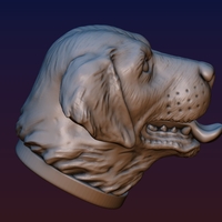Labrador Head - Thumbnail 7