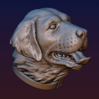 Labrador Head - Thumbnail 8
