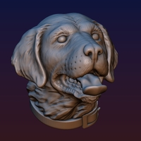 Labrador Head - Thumbnail 9