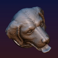 Labrador Head - Thumbnail 10